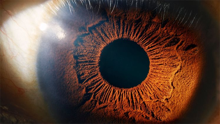 Слышать глазами: ультразвук для восстановления зрения